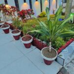 5 Marla House For Sale