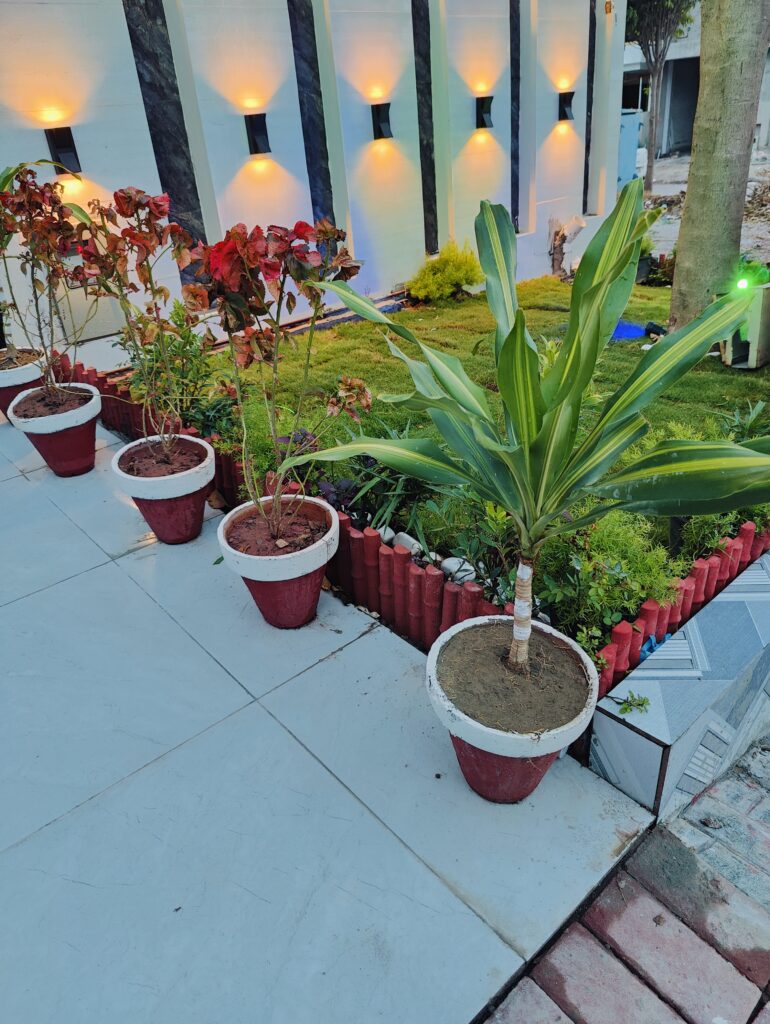 5 Marla House For Sale - 49